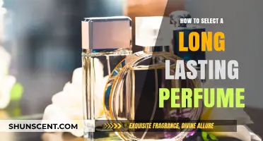 Choose Long-Lasting Perfumes: Tips and Tricks