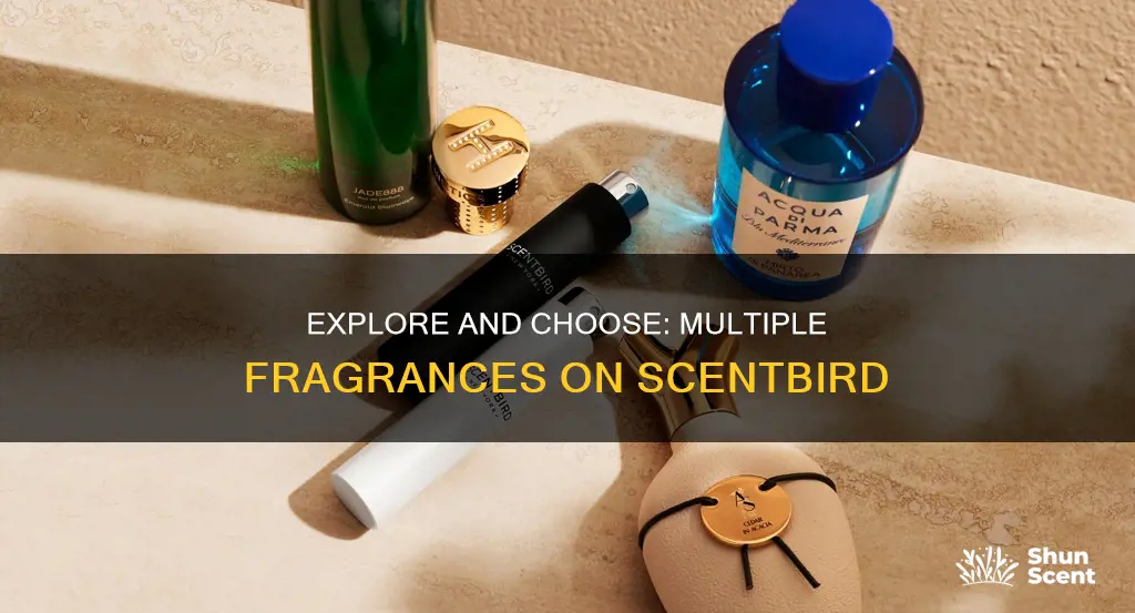 how to select more than one fragrance on scentbird