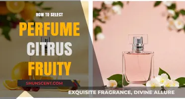 Choosing the Right Citrus-Fruity Perfume
