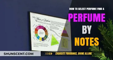 Finding Your Perfect Scent: A Guide to Notes