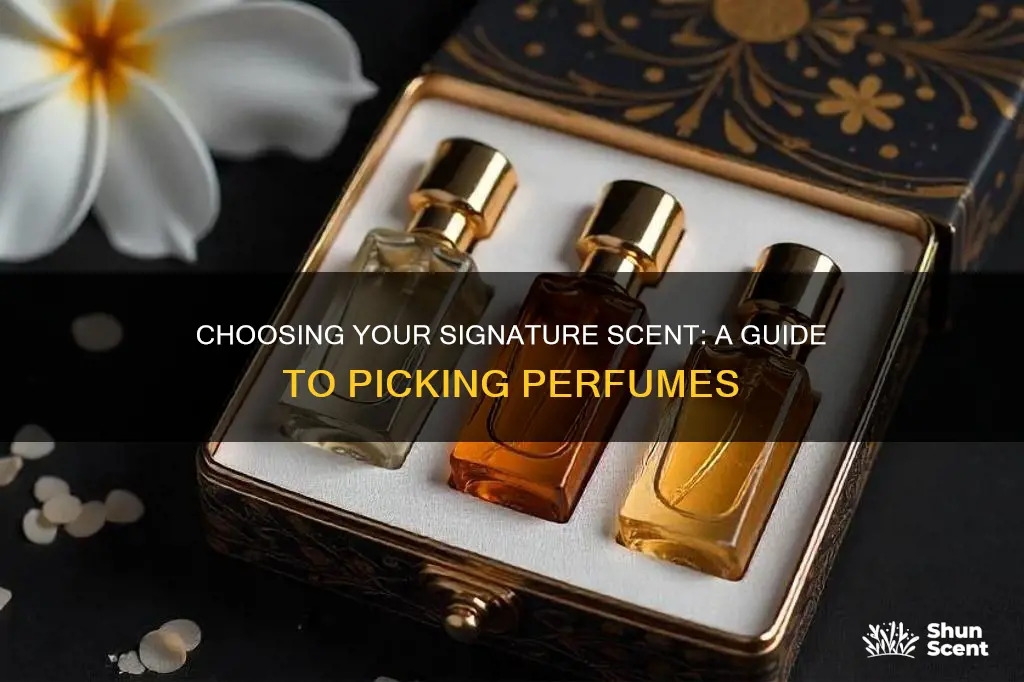how to select perfume perfect scent