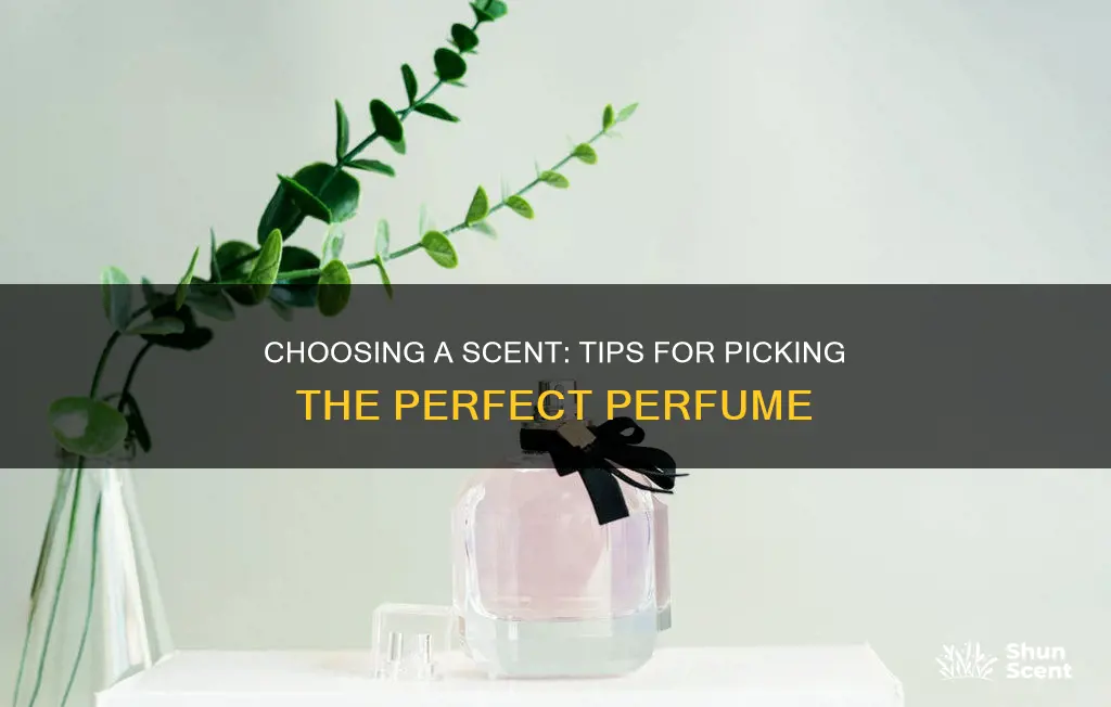 how to select perfume pick the perfect