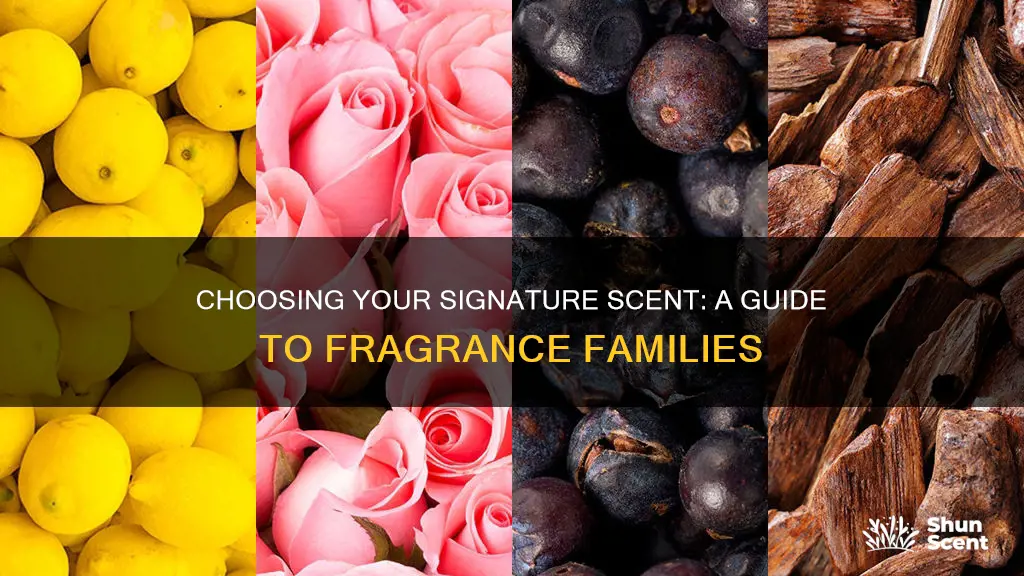 how to select perfume scent family