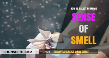 Choosing the Right Perfume: Engage Your Senses