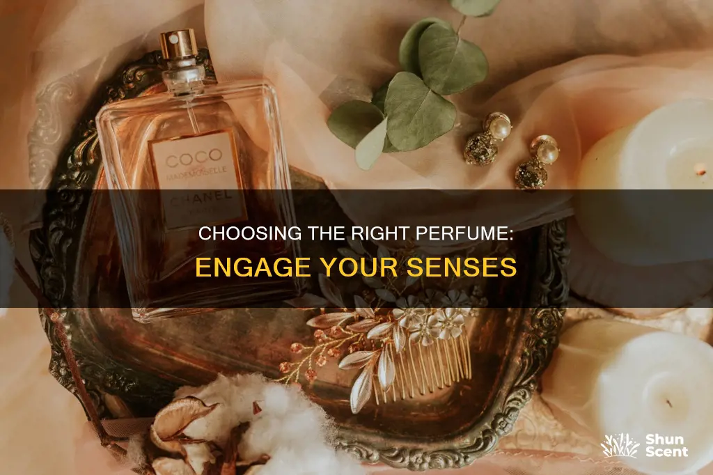 how to select perfume sense of smell