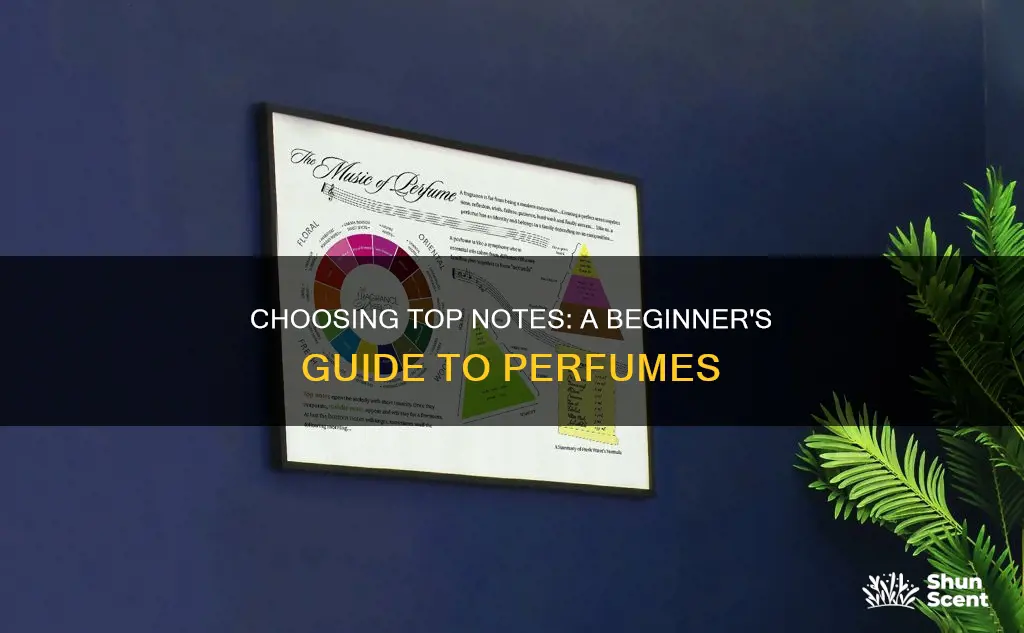 how to select perfume top notes