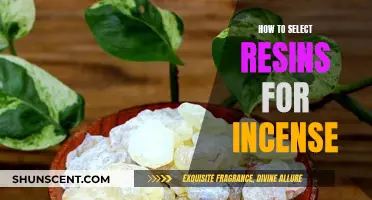 Selecting the Perfect Resins for Incense: A Guide