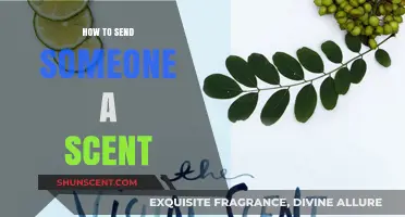 Innovative Ways to Share Scents: A Guide to Sending Smells