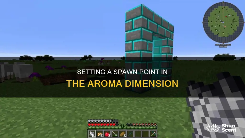 how to set spawn in aromas dimension