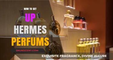 Hermes Perfumes: Setting Up a Scentsational Experience