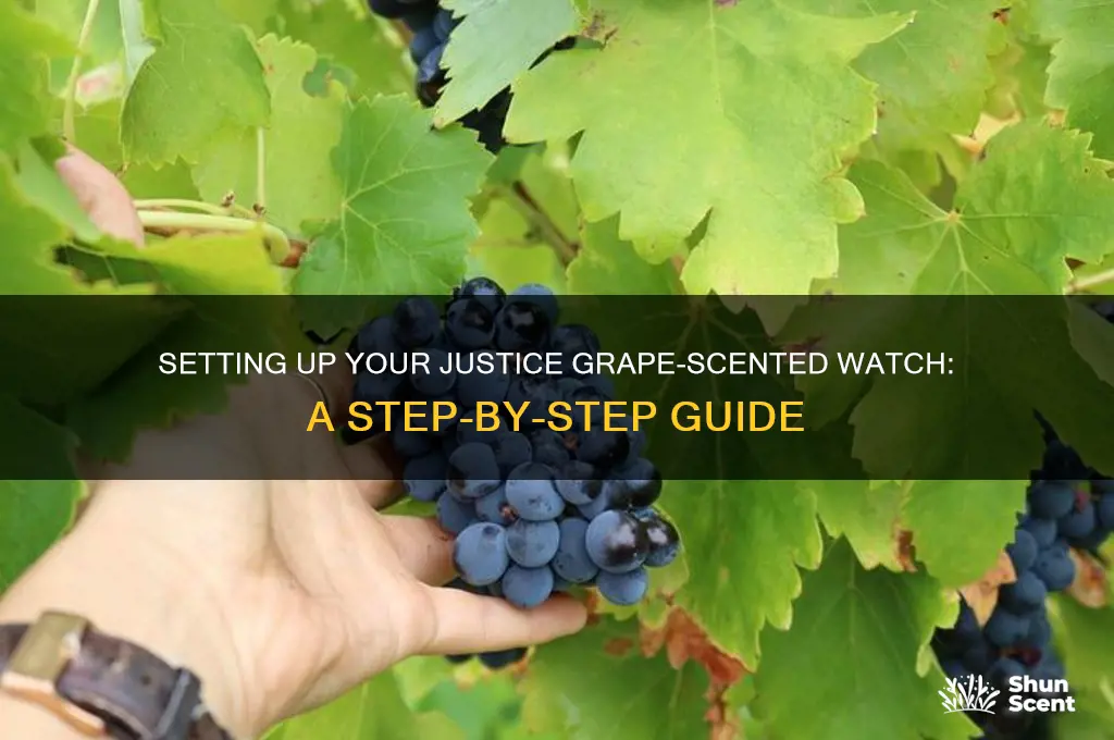 how to set up justice grape-scented watch