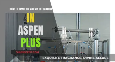 Simulating Aroma Extraction: Using Aspen Plus Efficiently