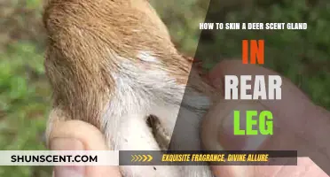 Mastering Deer Skinning: Removing Rear Leg Scent Glands Step-by-Step