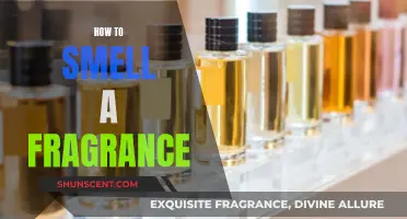 The Art of Scent: A Guide to Smelling Fragrances