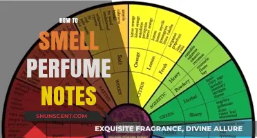 Unraveling the Art of Detecting Perfume Notes