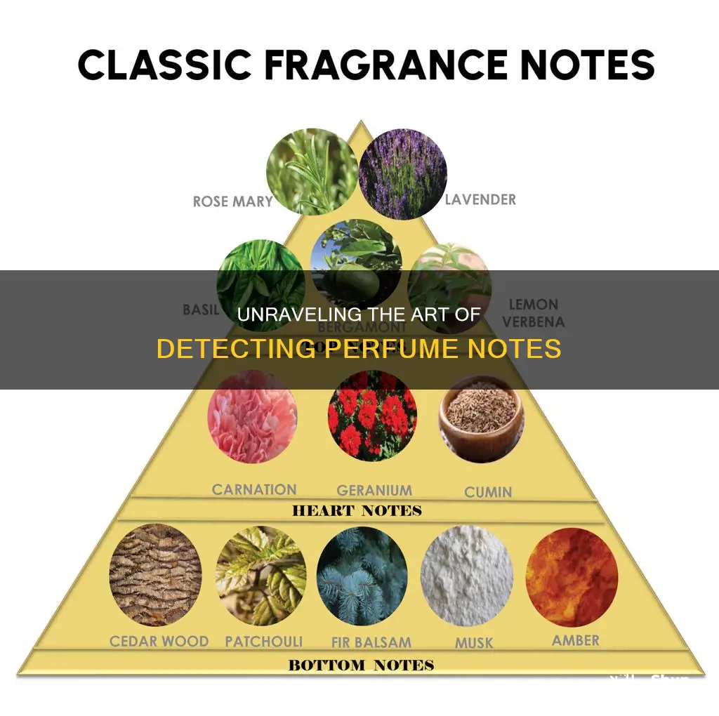 how to smell perfume notes