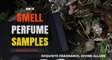 Try Perfume Samples: A Beginner's Guide to Scent Testing