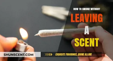 Stealth Smoking: Odor-Free Techniques for Discreet Enjoyment Without Traces