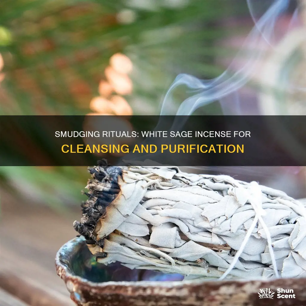 how to smudge white sage incense