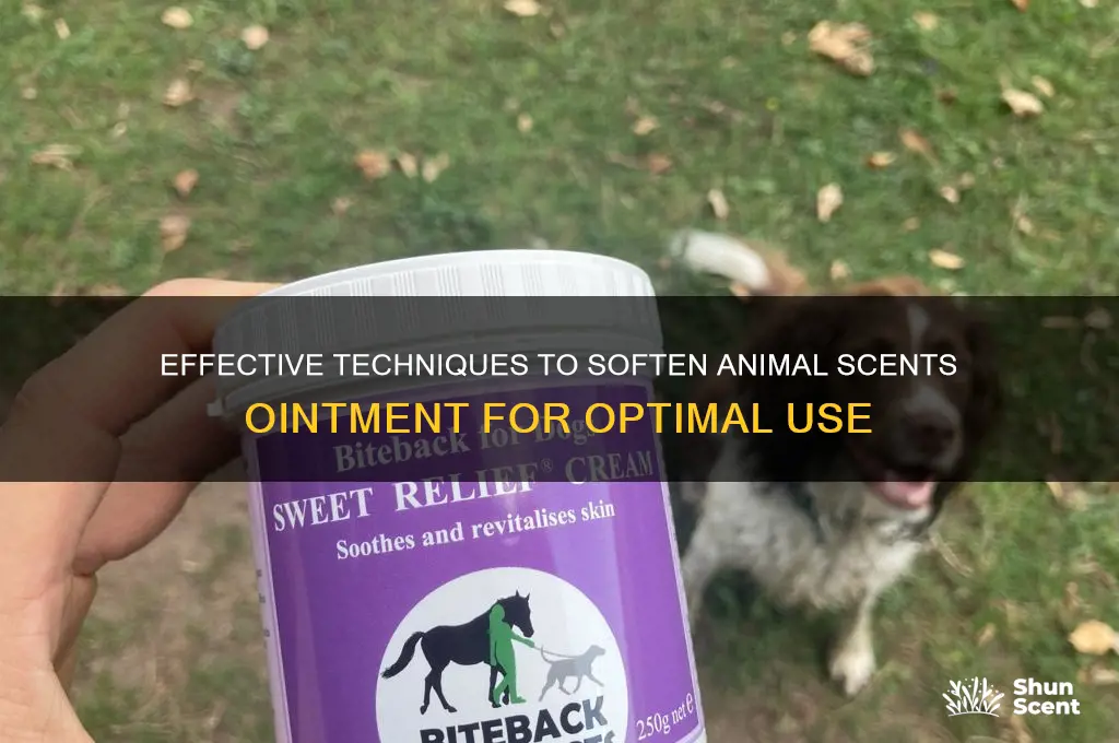 how to soften animal scents ointment