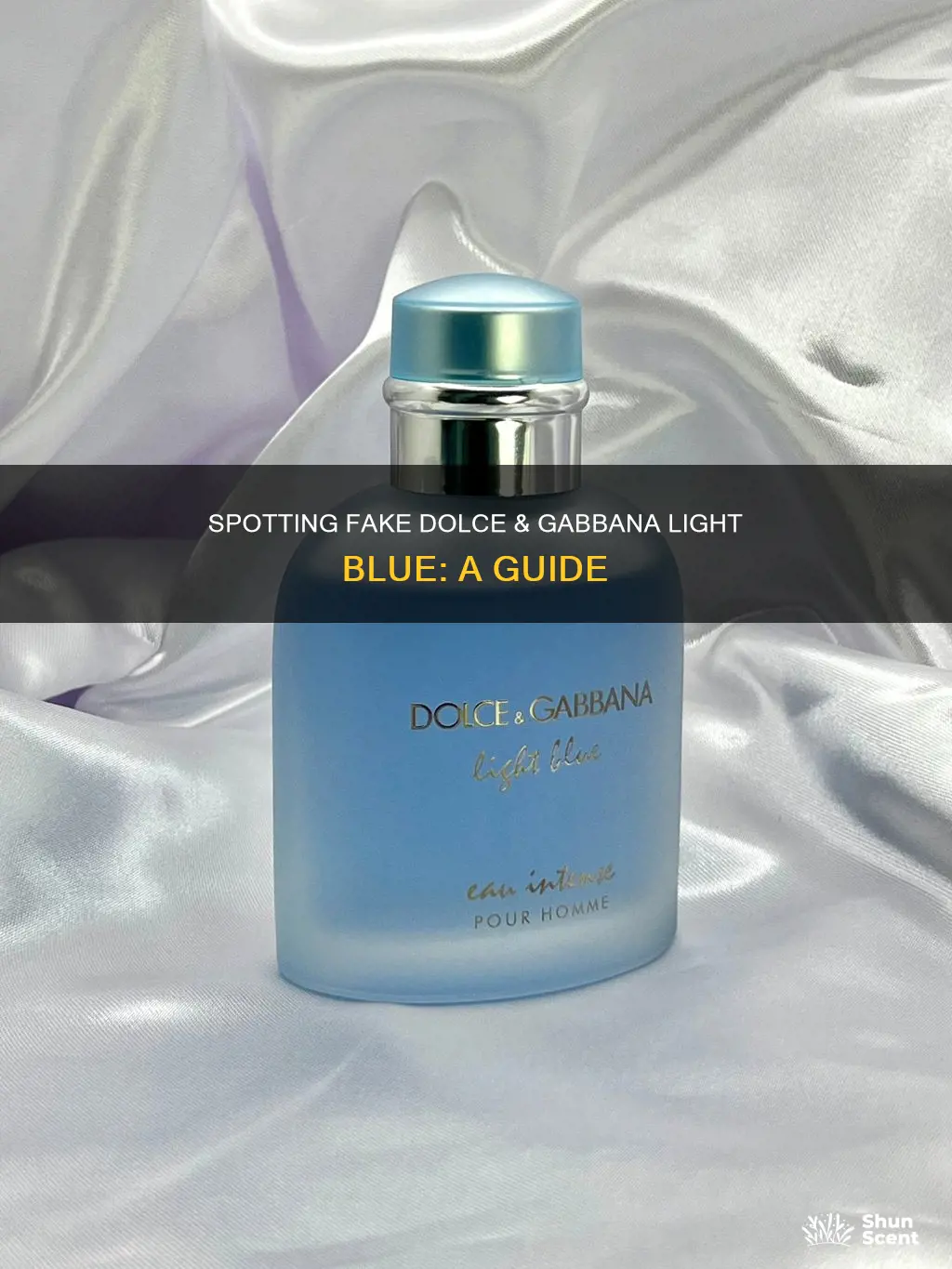 how to spot fake dolce and gabbana light blue perfume