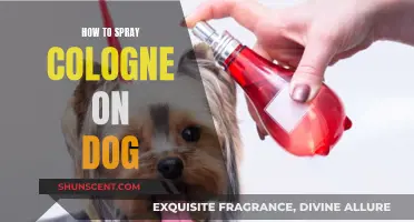 Using Cologne on Dogs: Safe Application and Tips