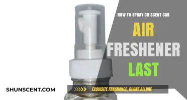 Maximize Your Car Air Freshener's Scent Longevity with Spray-On Tips