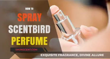 Spraying Scentbird: The Art of Applying Perfume