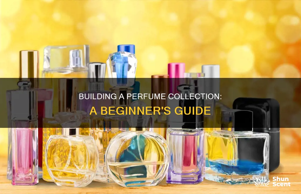 how to start a perfume collection