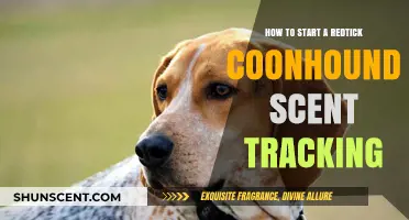 Master Redtick Coonhound Scent Tracking: Essential Tips to Begin
