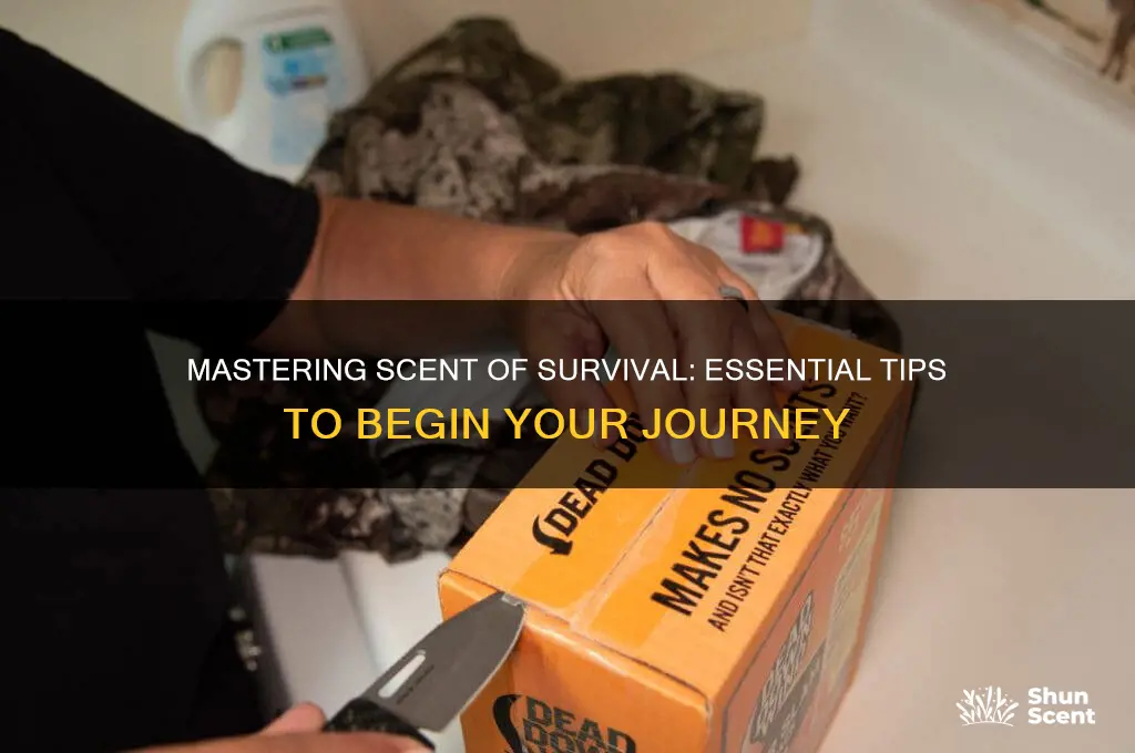how to start scent of survival