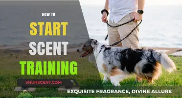 Mastering Scent Training: A Beginner’s Guide to Getting Started