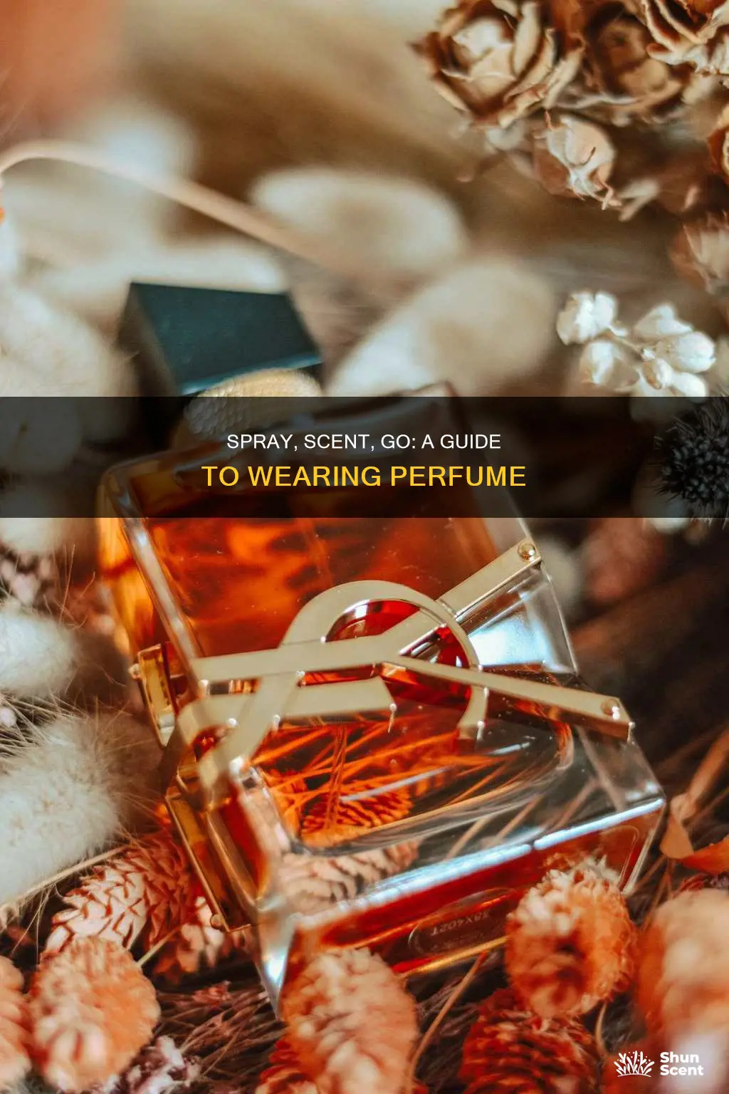 how to start wearing perfume