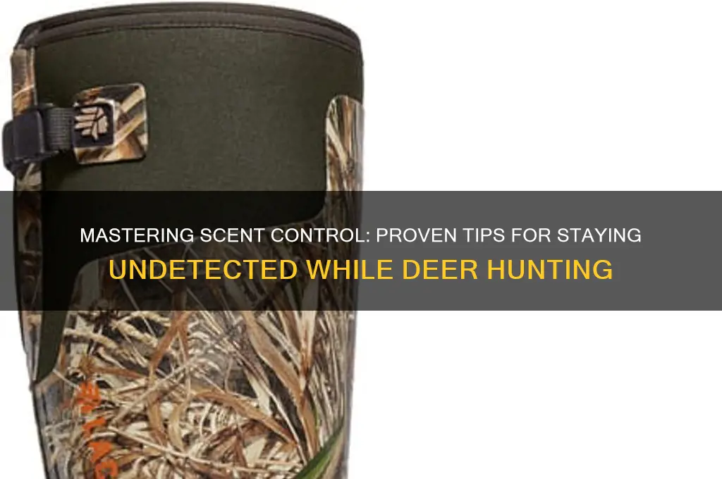 how to stay scent free deer hunting