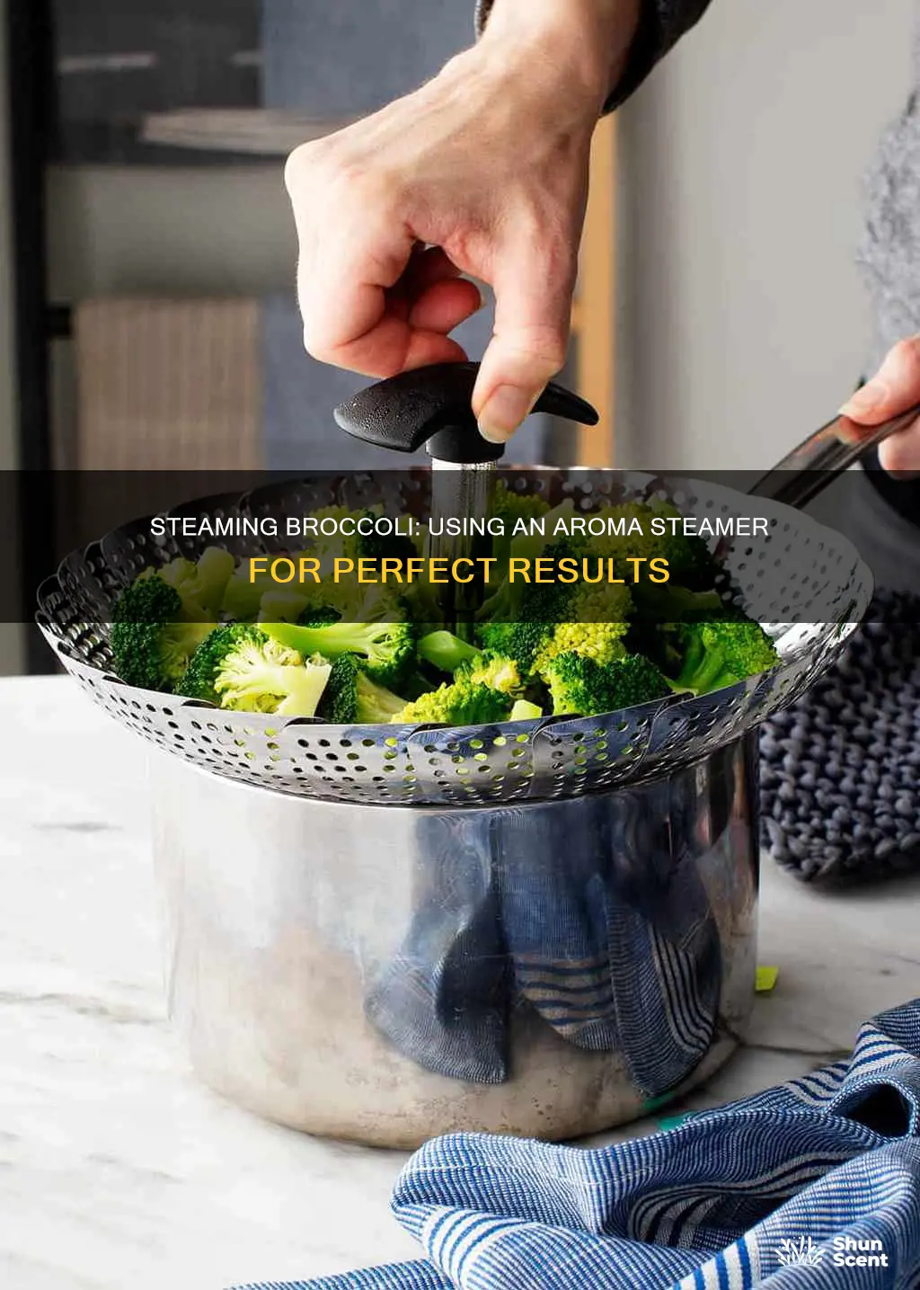 how to steam broccoli in a aroma steamer