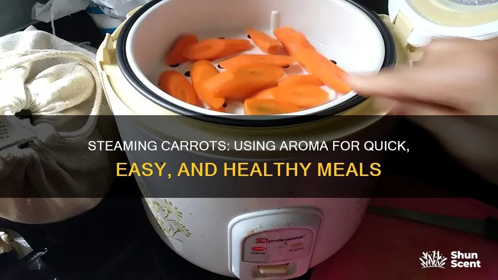 how to steam carrots in my aroma