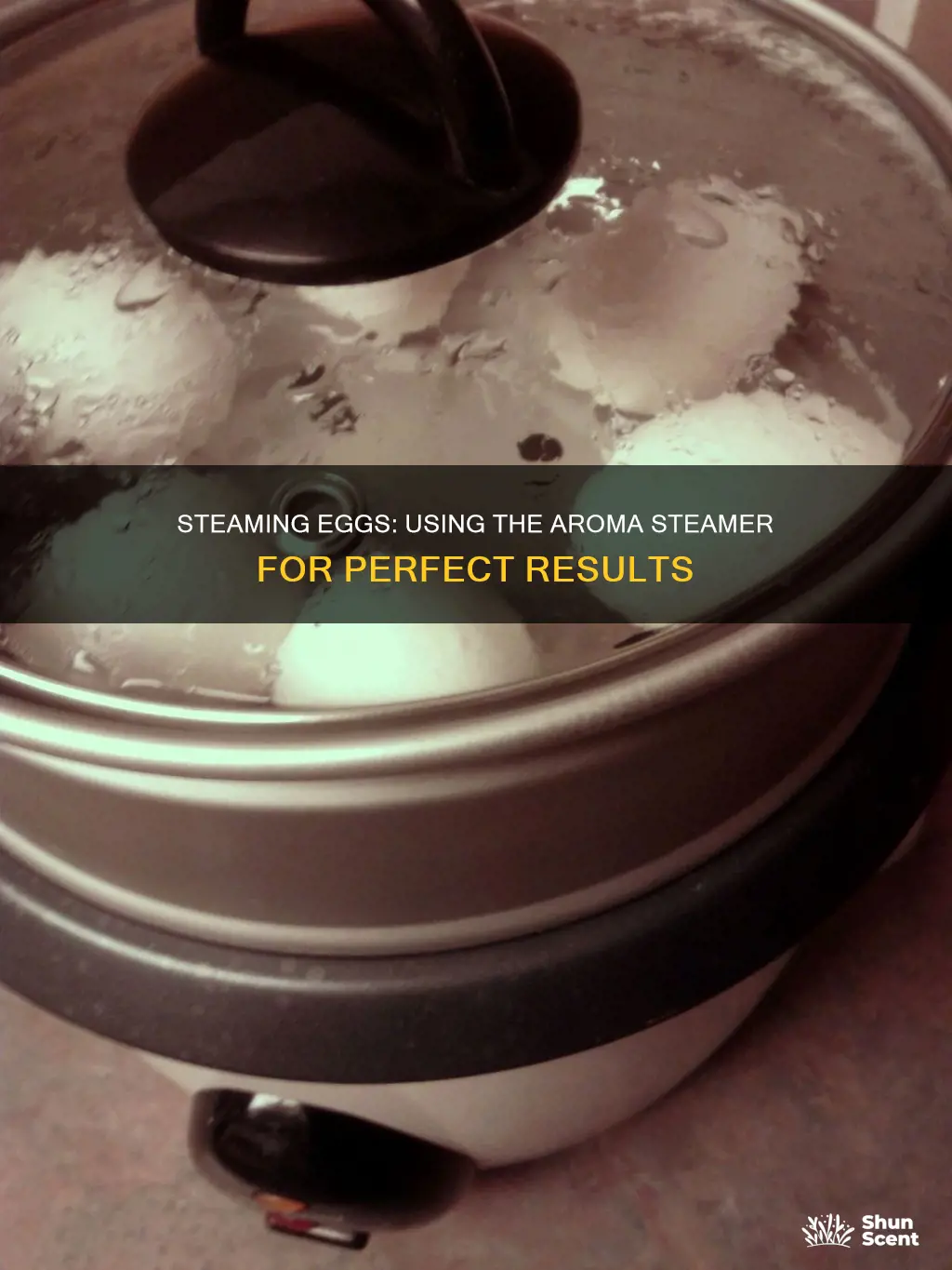 how to steam eggs in aroma steamer