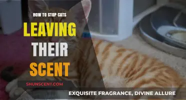 Preventing Feline Marking: Effective Strategies to Stop Cats Leaving Their Scent