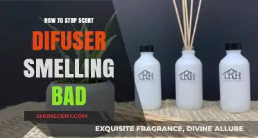 Eliminate Bad Odors: Tips to Refresh Your Scent Diffuser Effectively