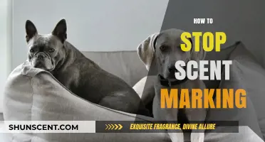Effective Strategies to Prevent Scent Marking in Pets: A Comprehensive Guide
