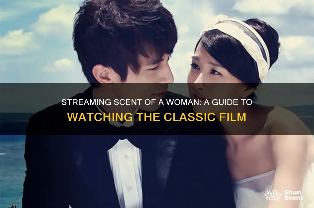 how to stream scent of a woman