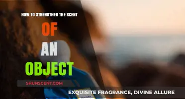 Amplify Aromas: Proven Techniques to Enhance Object Scents Effectively