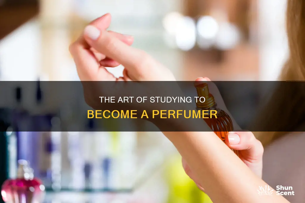 how to study to become a perfumer