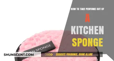 Eliminate Scent: Revive Your Kitchen Sponge