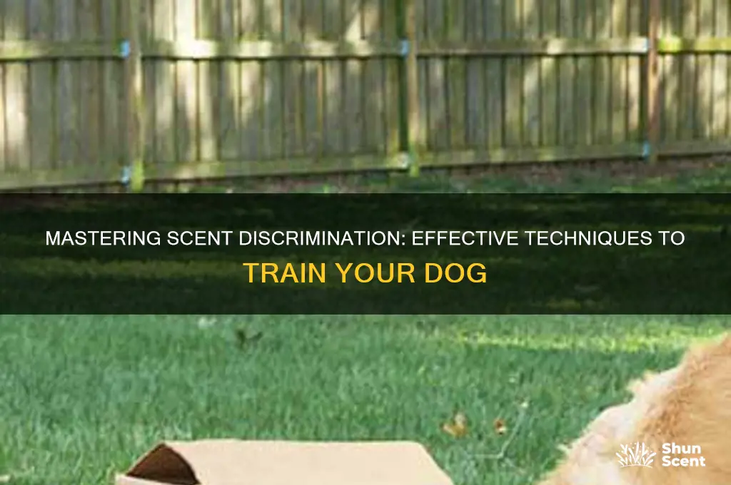 how to teach a dog scent discrimination