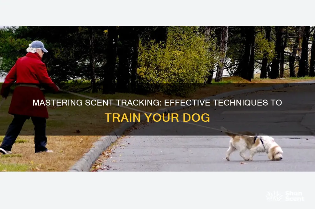 how to teach a dog scent tracking
