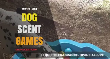 Engage Your Dog's Nose: Fun Scent Game Training Tips
