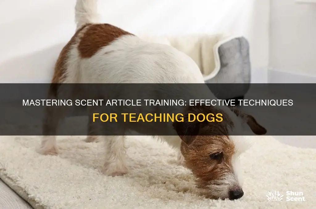 how to teach scent articles
