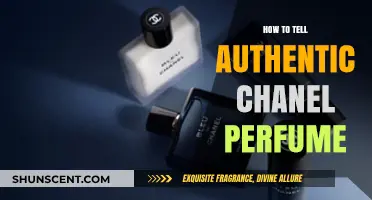 Authenticating Chanel Perfume: Spotting the Real Deal