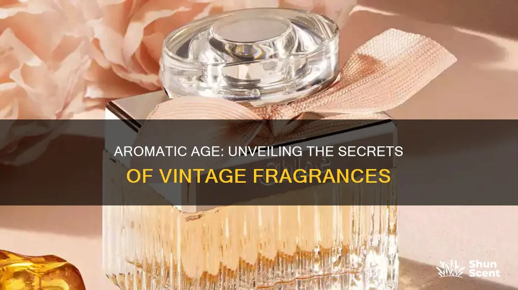 how to tell how old a fragrance is